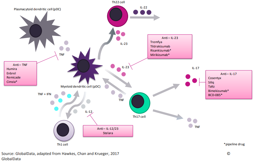 Рис. 4. Взаимное влияние различных клеток иммунной системы и цитокинов при псориазе. В розовых прямоугольниках приведены лекарства, подавляющие отдельные элементы. Звёздочкой отмечены препараты, ещё не вышедшие на рынок