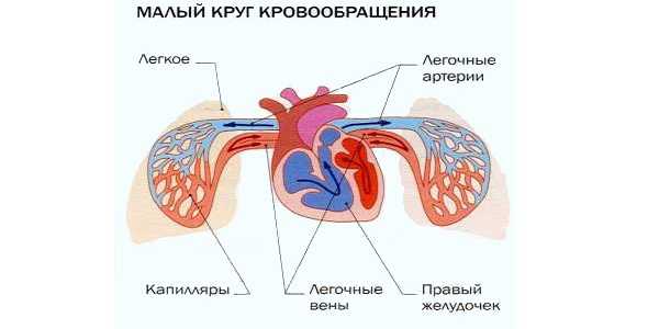 serdechnaya-astma-eto_0