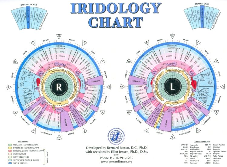 iridology_chart_large