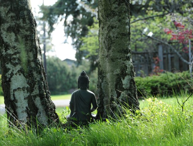 Тревожное расстройство можно победить с помощью медитации