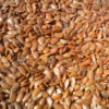 Состав, полезные свойства и способы применения семян льна