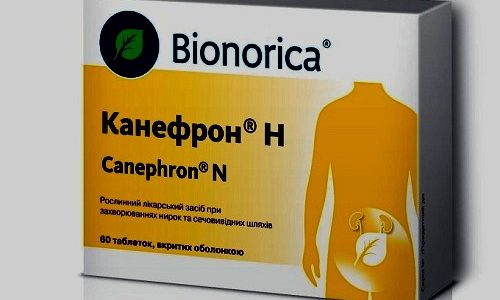 Самым востребованным препаратом от цистита, который был создан на натуральной основе, является Канефрон