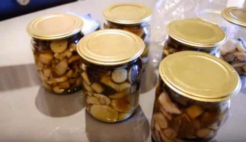 Универсальный маринад для грибов на зиму. Маринованные грибы на зиму в банках: простые рецепты приготовления