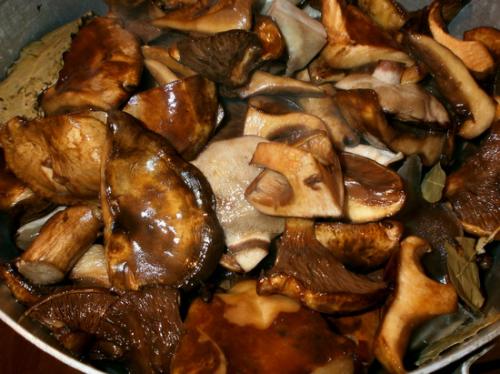 Как варить свинушки грибы перед жаркой. Сколько по времени варить свинушки?
