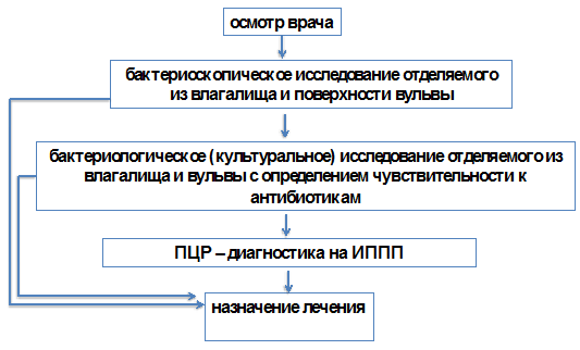 Бартолинит лечение антибиотиками схема