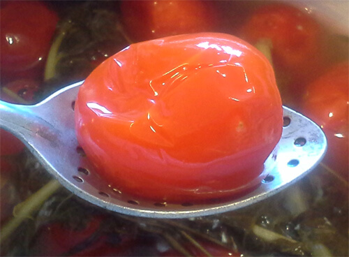 pomidory v bochke 16