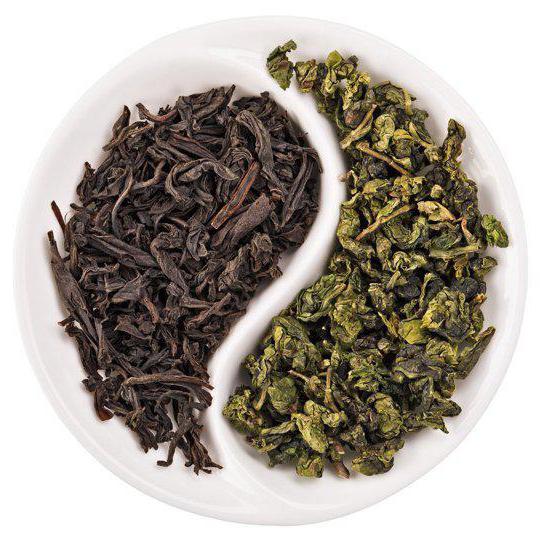 Чем отличается зеленый чай от черного