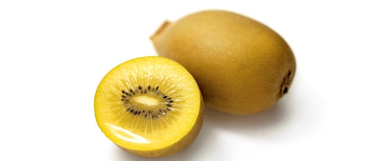 Gold kiwi — желтый сорт фруктов киви