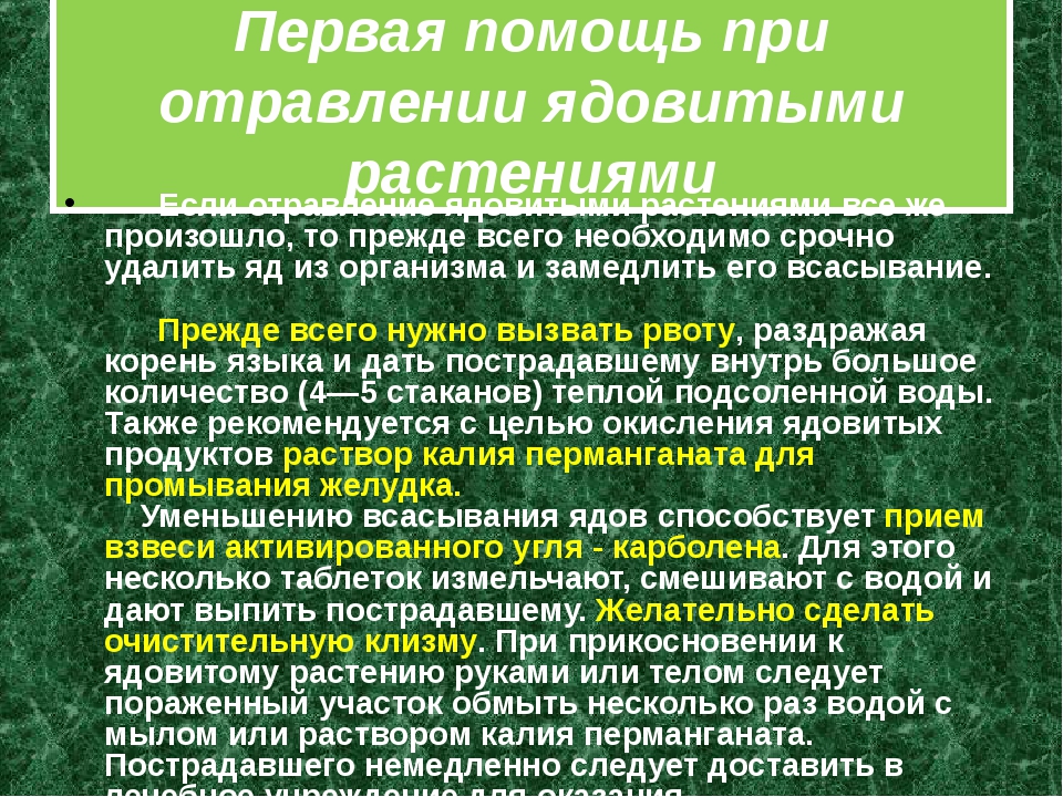 Презентация на тему отравления ядовитыми растениями