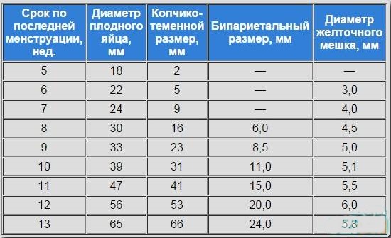 Желтое тело в яичнике - что это такое на узи при беременности, задержке, перед, после месячных, овуляции. Тест положительный и отрицательный