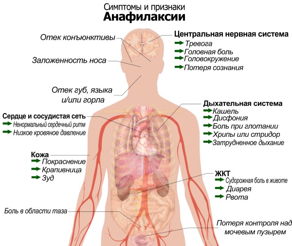 Жжение языка, неба, губ, горла. Причины и лечение у взрослых народными средствами