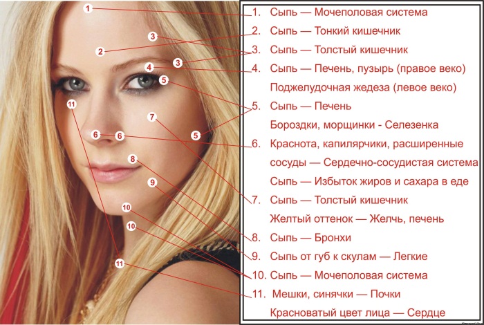 Мелкие пупырышки, сыпь на руках, ногах, голове, спине. Что это такое, как лечить