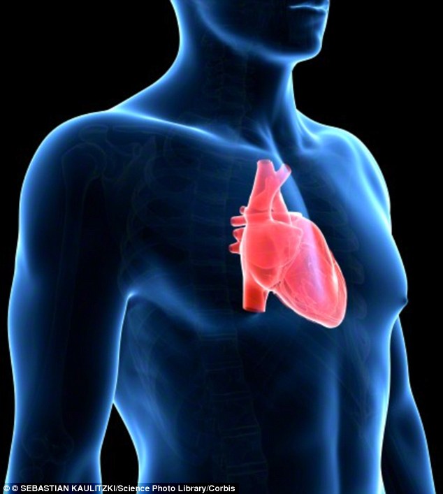 The heart is on the left hand side of the body due to evolution. Dr Rajay Narain, a research cardiologist, explained: 