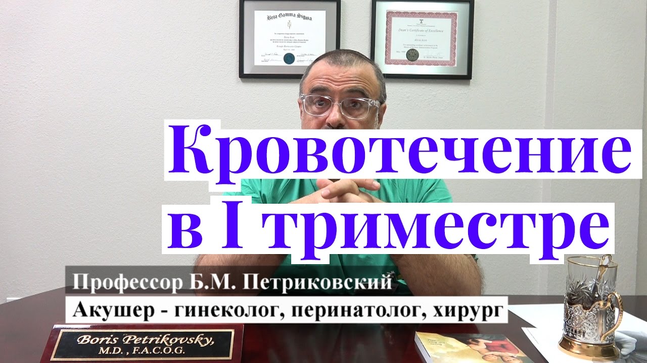 Кровотечение на ранних сроках беременности - интервью с профессором Петриковским о родах в США