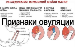 Как понять причину выделения