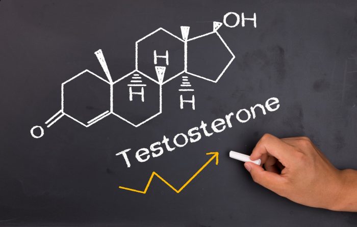 гормон усиливает деятельность тестостерона