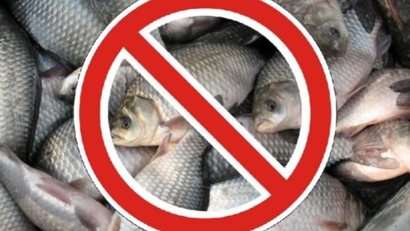 запрет рыбы