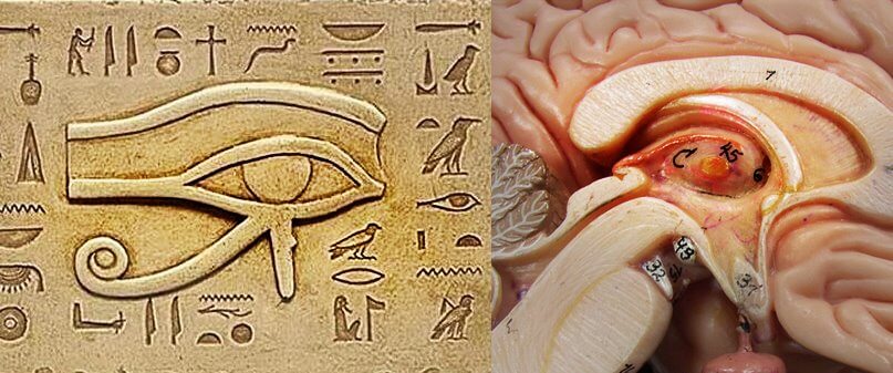 third eye activation Egypt