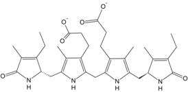 Structure of urobilinogen.png