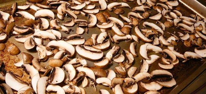 Как сушить белый гриб на зиму
