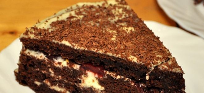 шоколадный торт с заварным кремом