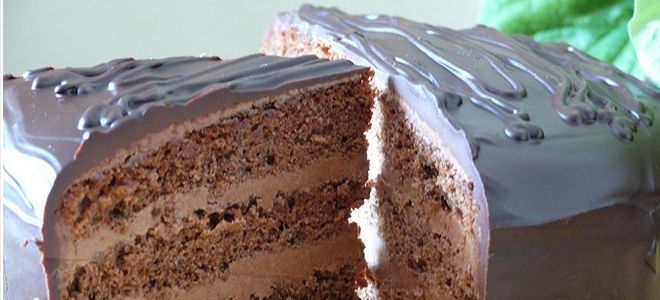 шоколадный торт прага