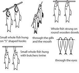 Hanging small fish.
