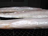 Well developed pellicle in Spanish mackerel fillet.