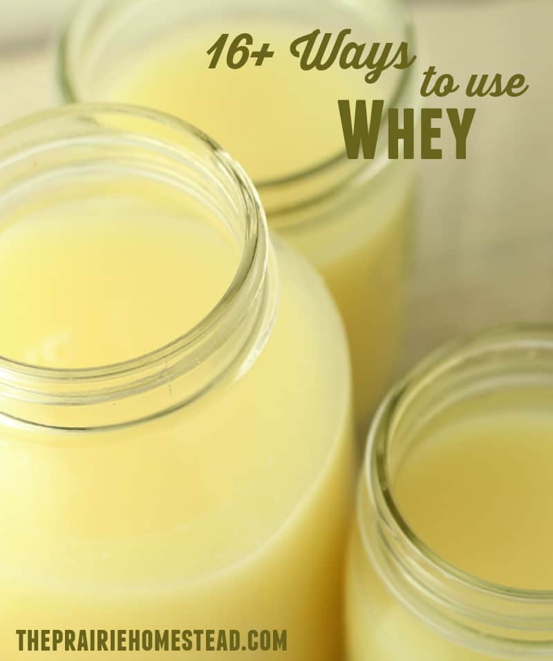 Best uses for whey