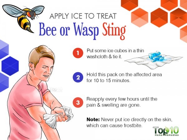 apply ice on bee or wasp sting