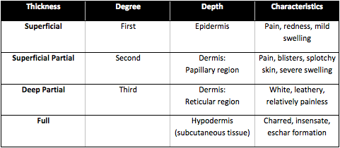 wound-care-first-second-third-degree-burns-overview-chart.png