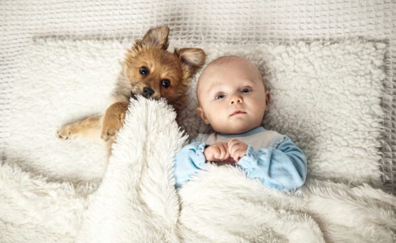 фотосессия ребенка на год дома с домашним животным