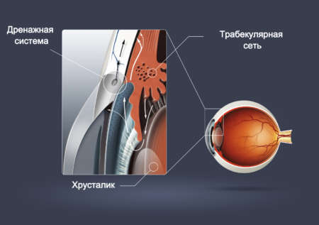 Трабекулярная сеть дренажная система глаза